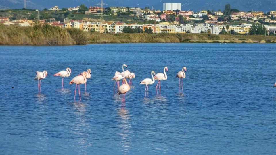 Costa degli Angeli La Pirata Capitana Bed & Breakfast エクステリア 写真