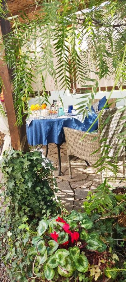 Costa degli Angeli La Pirata Capitana Bed & Breakfast エクステリア 写真