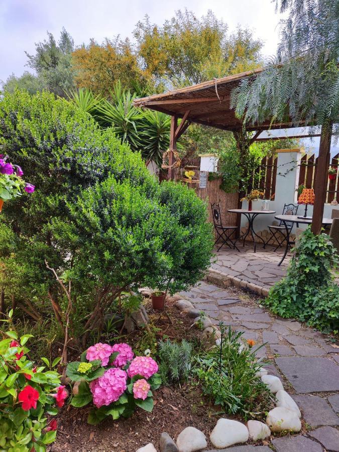 Costa degli Angeli La Pirata Capitana Bed & Breakfast エクステリア 写真
