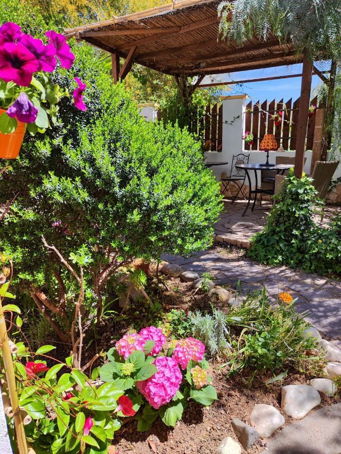 Costa degli Angeli La Pirata Capitana Bed & Breakfast エクステリア 写真