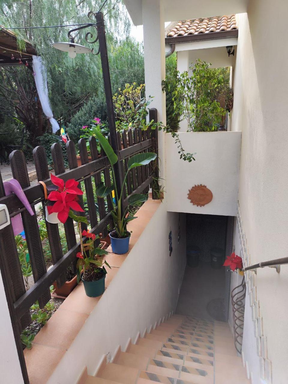 Costa degli Angeli La Pirata Capitana Bed & Breakfast エクステリア 写真